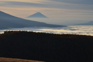 DSC_6531_R