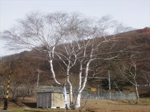 IMG_0605_R
