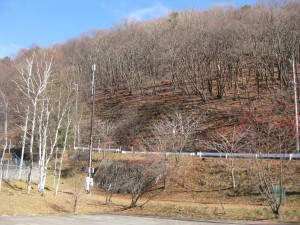IMG_0626
