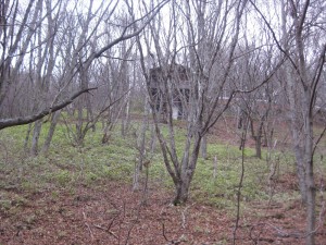 IMG_0659_R