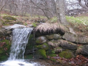 IMG_0660_R