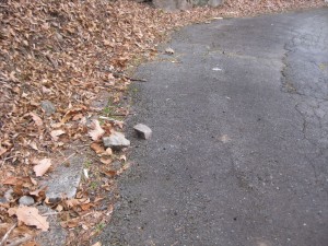 IMG_0670_R