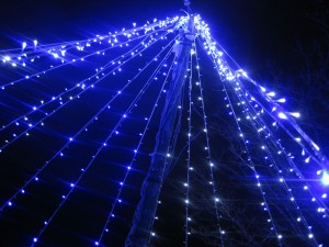 IMG_0693_R