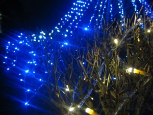 IMG_0699_R