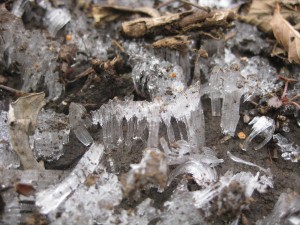 IMG_0725_R