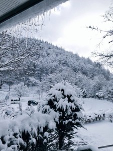 20141209_R