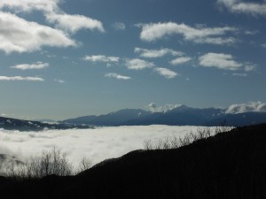 DSCF2496