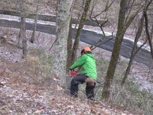 IMG_0759