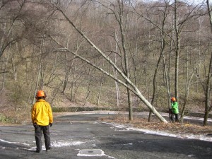 IMG_0761