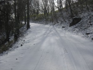 IMG_0829_R