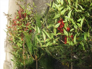 IMG_0843_R