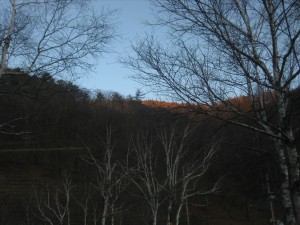 IMG_0851_R