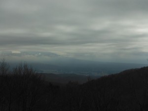 DSCF2588