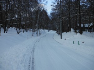 DSCF2604