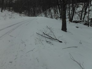 DSCF2612