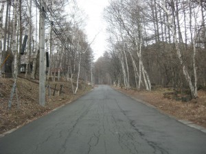 IMG_0954
