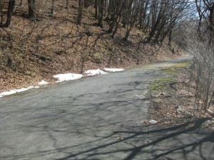 IMG_1098_R