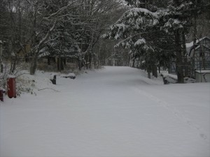 IMG_1177_R