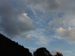 DSCF3273