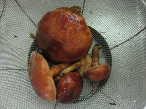 img_0011_r