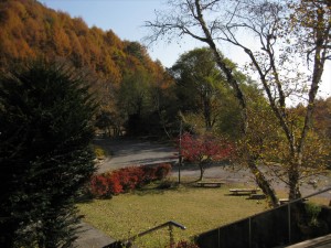 img_0386_r