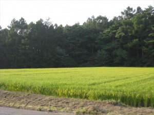 002_R (2)