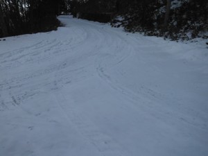 DSCF7361