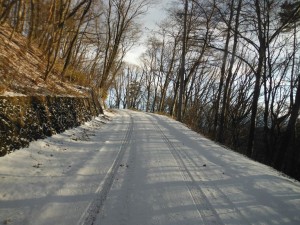 DSCF7362