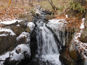 DSCF7363
