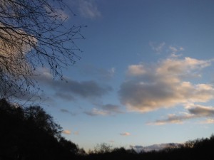 DSCF7364