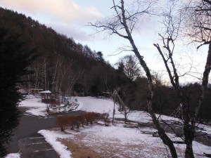 DSCF7365