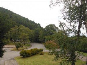 DSCF9003