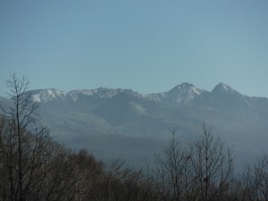DSCF9420