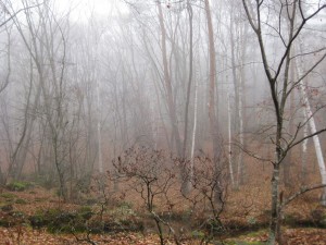 IMG_3032