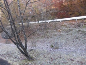 IMG_0339