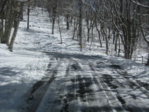 IMG_0902