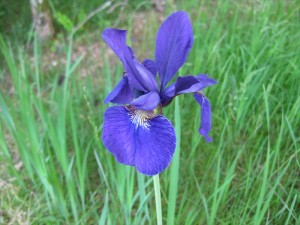 IMG_1219_R