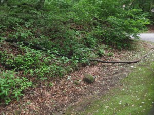 IMG_1334_R