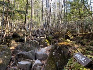 登山道の様子1