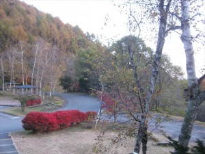 IMG_1673_R