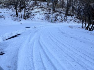 IMG_1854
