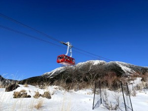 IMG_2258