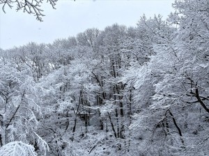 IMG_2276_R