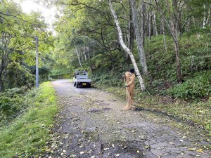 IMG_4153