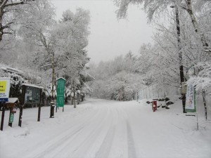 IMG_1267_R