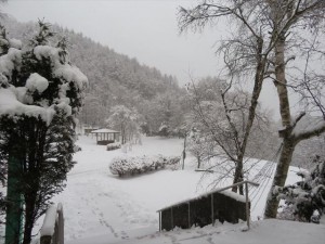 IMG_1268_R