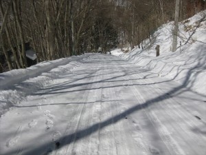IMG_2053_R