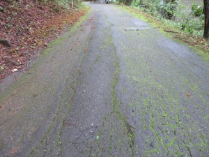 IMG_1714_R