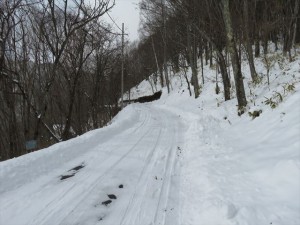 IMG_1929_R