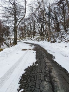 7区の路面状況